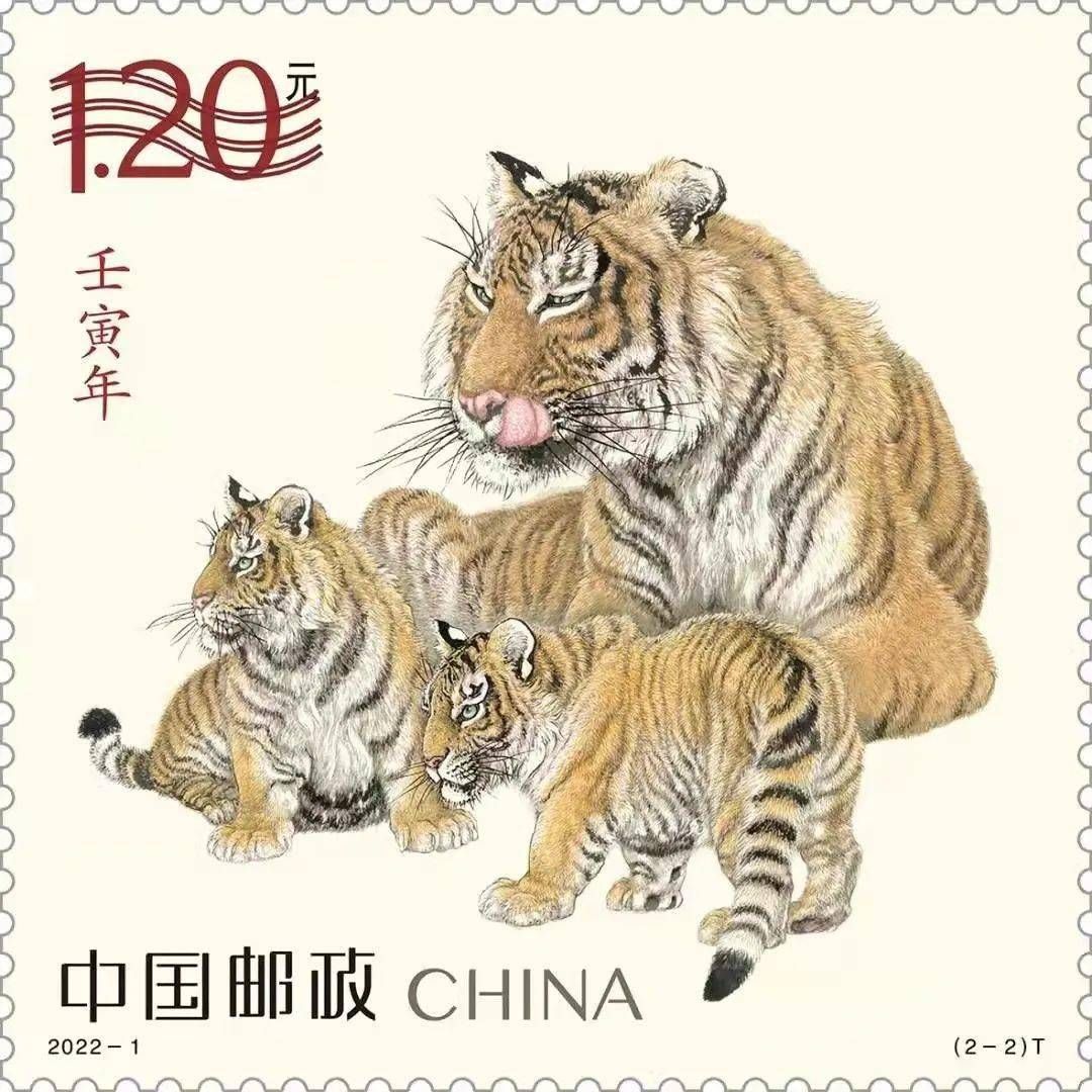 tigre