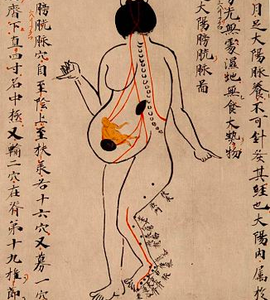 Gynécologie en Médecine Chinoise